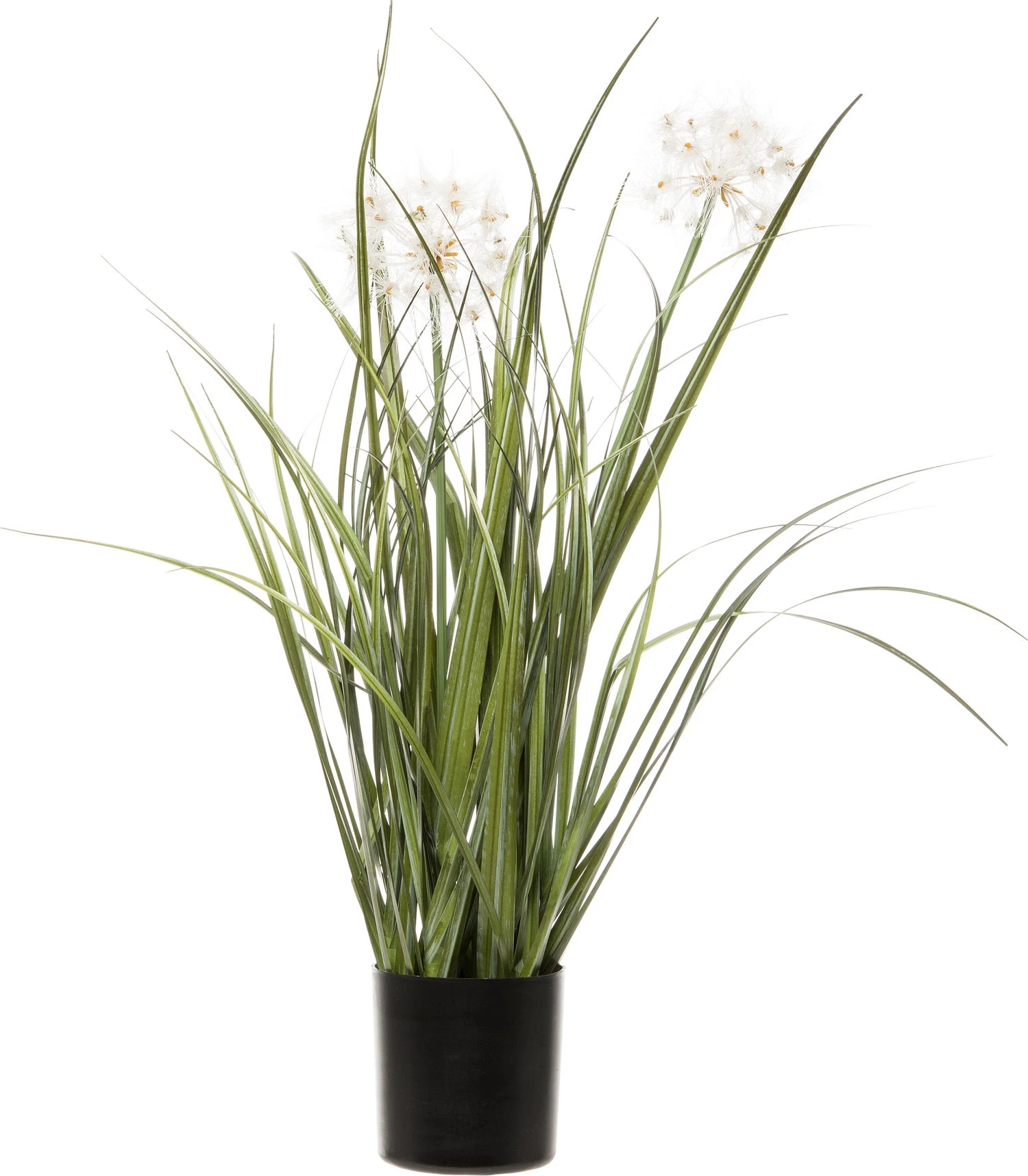 Intratuin Kunstplant Pampusgras D 33 H 50 Cm 1 Intratuin Kunstplant Pampusgras D 33 H 50 Cm