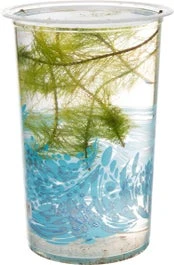 Cabomba (Cabomba) D 12 H 20 Cm