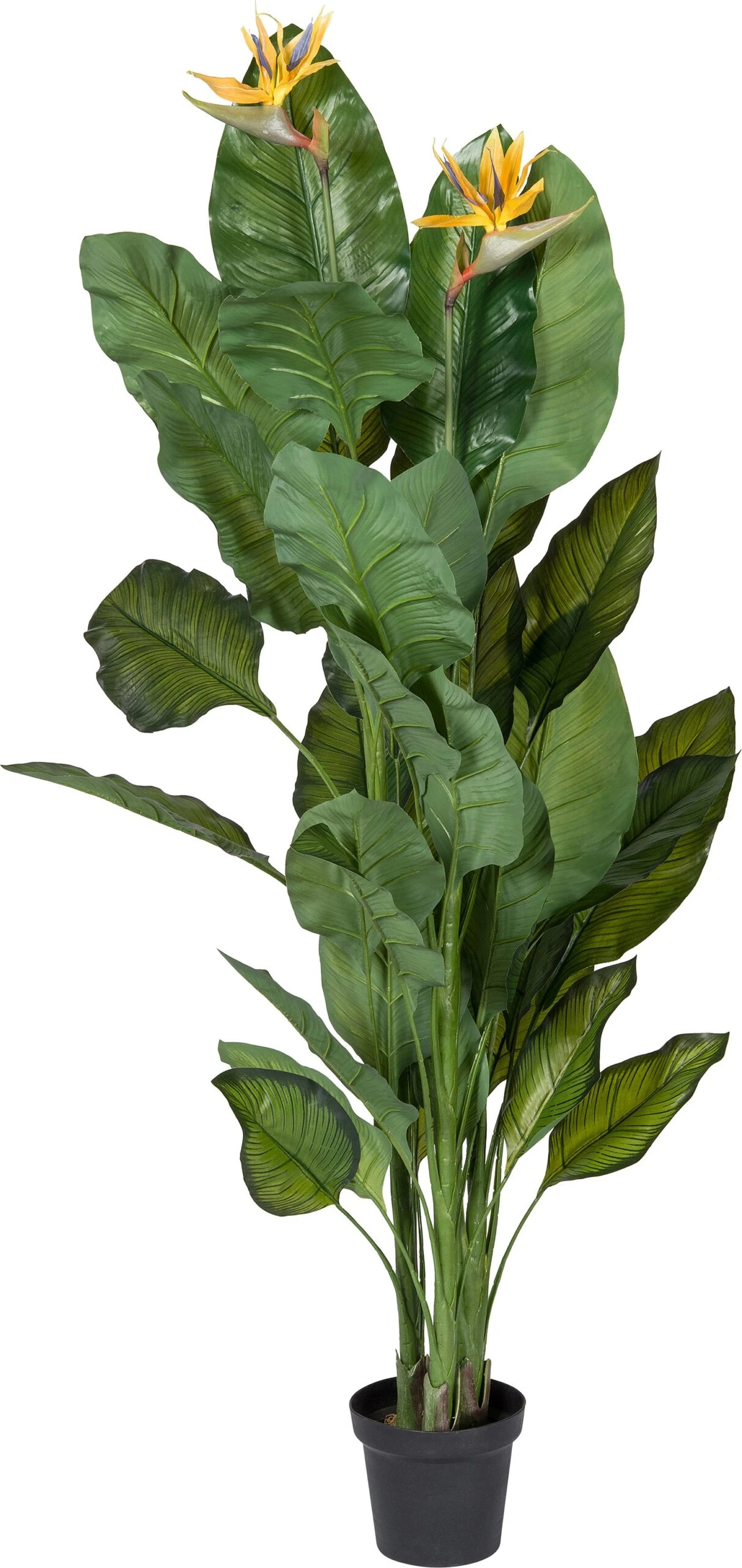 Intratuin Kunstplant Paradijsvogelbloem D 50 H 170 Cm Geel 1 Intratuin Kunstplant Paradijsvogelbloem D 50 H 170 Cm Geel