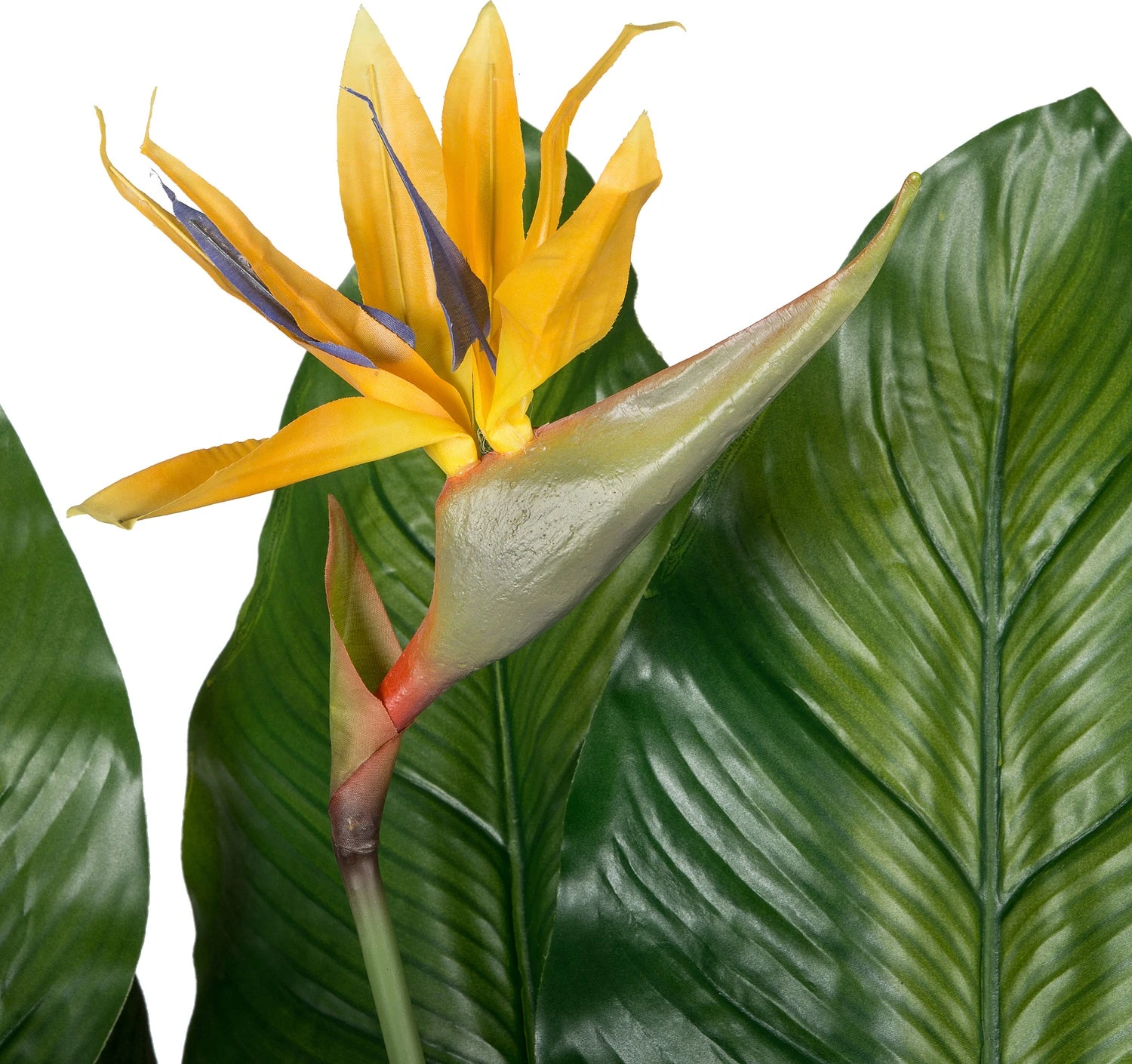 Intratuin Kunstplant Paradijsvogelbloem D 50 H 170 Cm Geel 2 Intratuin Kunstplant Paradijsvogelbloem D 50 H 170 Cm Geel - Afbeelding 2