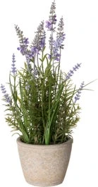 Intratuin Kunstplant Lavendel In Pot D 18 H 38 Cm 1 Intratuin Kunstplant Lavendel In Pot D 18 H 38 Cm