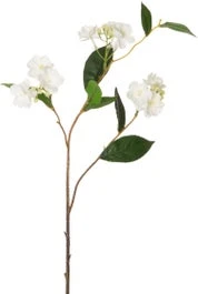 Intratuin Kunstbloem Jasmijn Wit 65 Cm 1 Intratuin Kunstbloem Jasmijn Wit 65 Cm