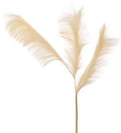 Intratuin Kunsttak Pluimen 111 Cm Crème 1 Intratuin Kunsttak Pluimen 111 Cm Crème