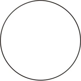 Intratuin Wandhanger Frame Rond Zwart D 45 Cm