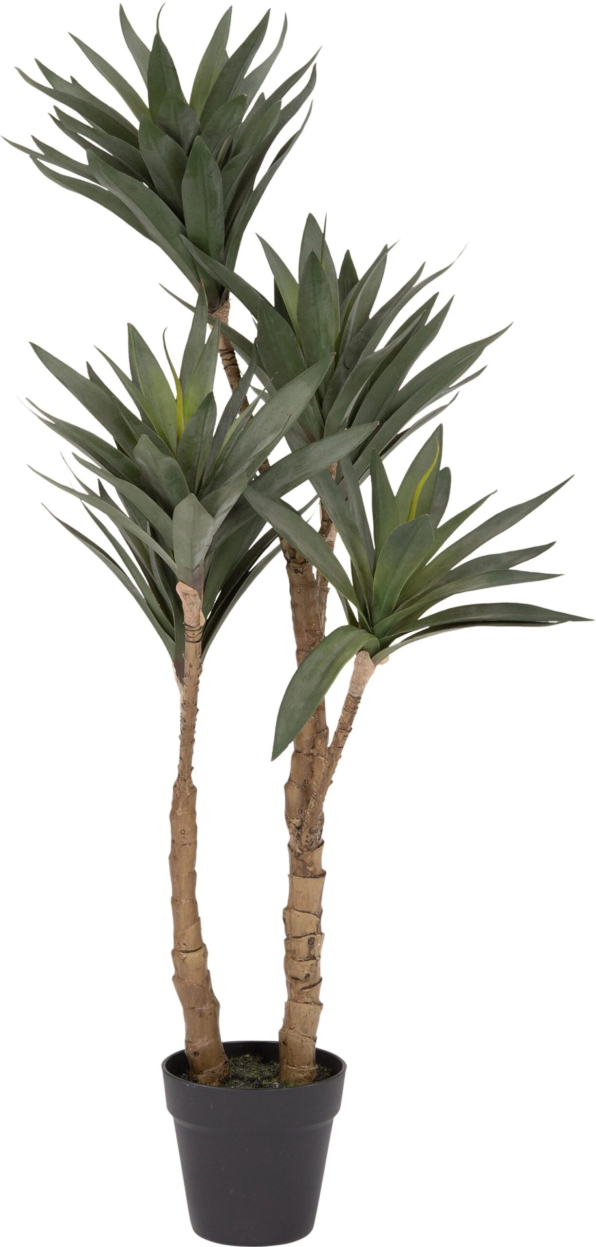 Intratuin Kunstplant Drakenbloedboom 91 Cm 1 Intratuin Kunstplant Drakenbloedboom 91 Cm