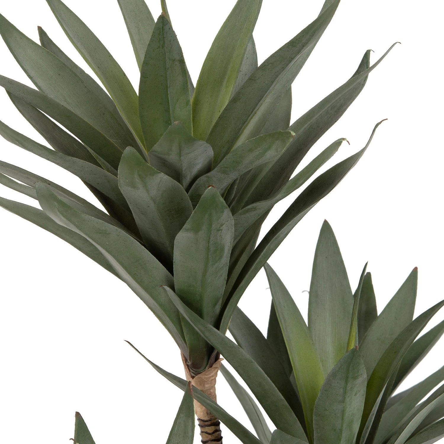 Intratuin Kunstplant Drakenbloedboom 91 Cm 2 Intratuin Kunstplant Drakenbloedboom 91 Cm - Afbeelding 2