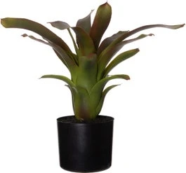 Intratuin Kunstplant Bromelia 53 X 53 X 46 Cm 1 Intratuin Kunstplant Bromelia 53 X 53 X 46 Cm