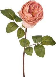 Intratuin Kunstbloem Roos Roze 62 Cm 1 Intratuin Kunstbloem Roos Roze 62 Cm