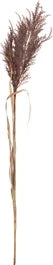 Intratuin Kunsttak Rietpluim Bruin 103 X 7 X 7 Cm 1 Intratuin Kunsttak Rietpluim Bruin 103 X 7 X 7 Cm