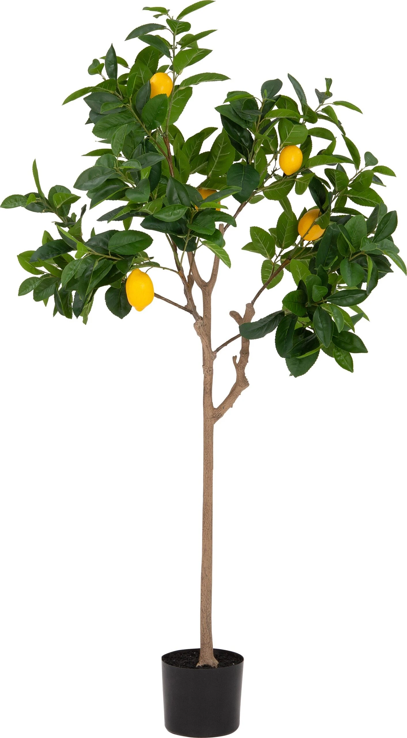 Intratuin Kunstplant Citroenboom 150 Cm 1 Intratuin Kunstplant Citroenboom 150 Cm