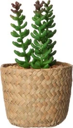 Intratuin Kunstplant Vetplant 9 X 9 X 16 Cm 1 Intratuin Kunstplant Vetplant 9 X 9 X 16 Cm