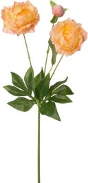 Intratuin Kunstbloem Pioen Geel Oranje 66 Cm 1 Intratuin Kunstbloem Pioen Geel Oranje 66 Cm