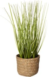Intratuin Kunstplant Gras 9 X 9 X 27 Cm 1 Intratuin Kunstplant Gras 9 X 9 X 27 Cm