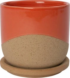 Intratuin Bloempot Op Schotel Dim Rood D 11,5 H 11,5 Cm 1 Intratuin Bloempot Op Schotel Dim Rood D 11,5 H 11,5 Cm