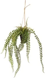 Intratuin Kunsthangplant Varen D 9,5 H 35 Cm 1 Intratuin Kunsthangplant Varen D 9,5 H 35 Cm