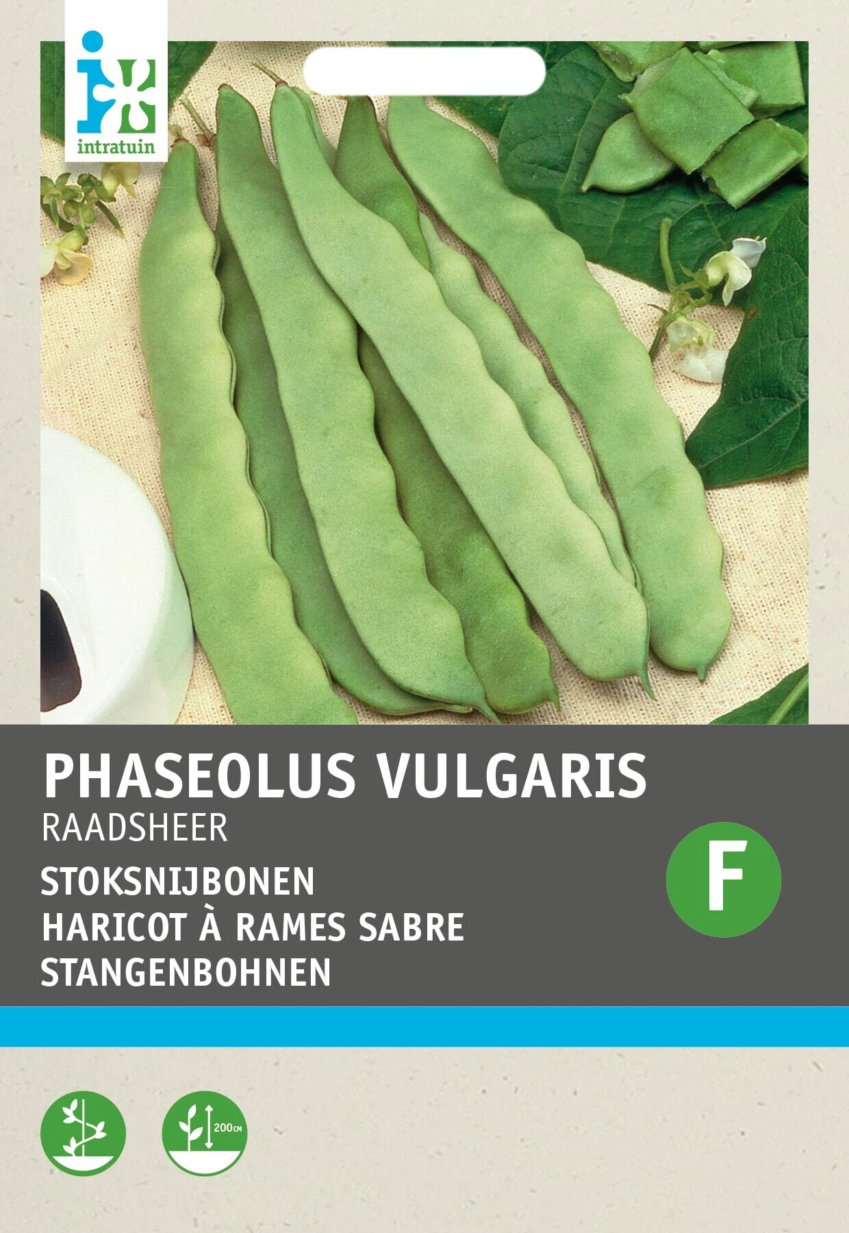 Intratuin Groentezaad Stoksnijboon (Phaseolus Vulgaris 'Raadsheer Type Veense') 1 Intratuin Groentezaad Stoksnijboon (Phaseolus Vulgaris 'Raadsheer Type Veense')