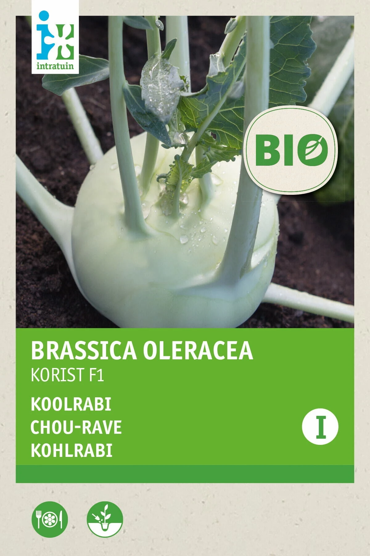 Intratuin Biologisch Groentezaad Koolrabi (Brassica Oleracea 'Korist') 1 Intratuin Biologisch Groentezaad Koolrabi (Brassica Oleracea 'Korist')