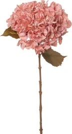 Intratuin Kunstbloem Hortensia 65 Cm Roze 1 Intratuin Kunstbloem Hortensia 65 Cm Roze
