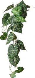Intratuin Kunstbloem Anthurium 85 Cm Groen
