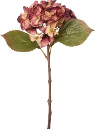 Intratuin Kunstbloem Hortensia 19 Cm Paars 1 Intratuin Kunstbloem Hortensia 19 Cm Paars