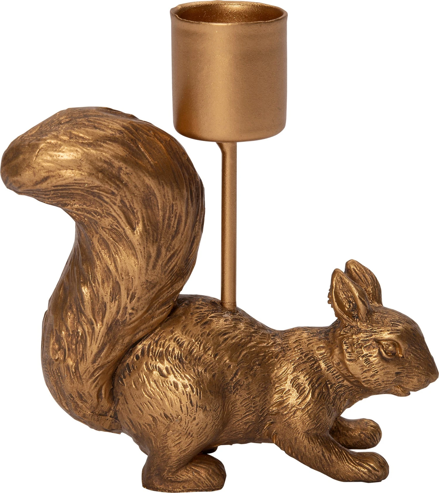 Intratuin Kandelaar Eekhoorn 10 X 3,5 X 10,5 Cm Goud 1 Intratuin Kandelaar Eekhoorn 10 X 3,5 X 10,5 Cm Goud