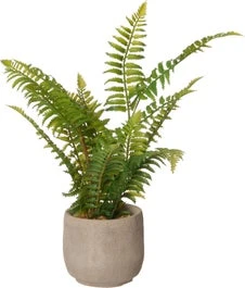 Intratuin Kunstplant Varen D 10 H 35 Cm 1 Intratuin Kunstplant Varen D 10 H 35 Cm