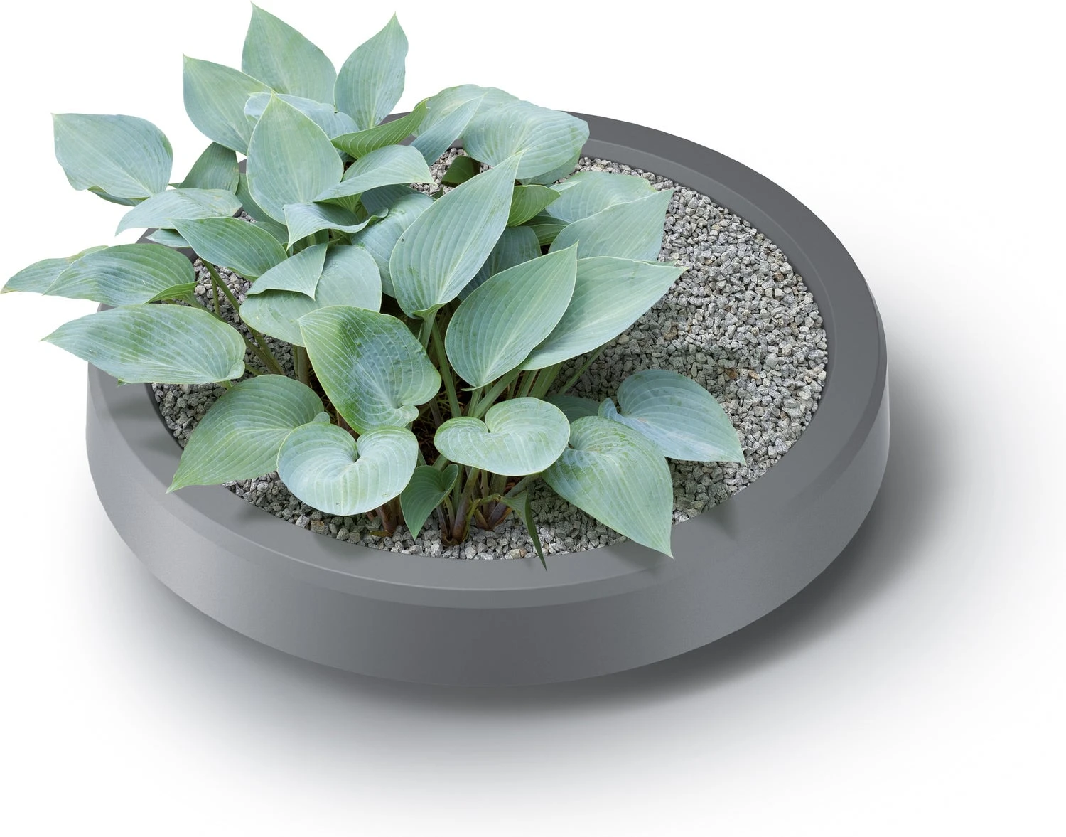 Intratuin Regenton Met Plantenbak Tube Antraciet 230 L 2 Intratuin Regenton Met Plantenbak Tube Antraciet 230 L - Afbeelding 2