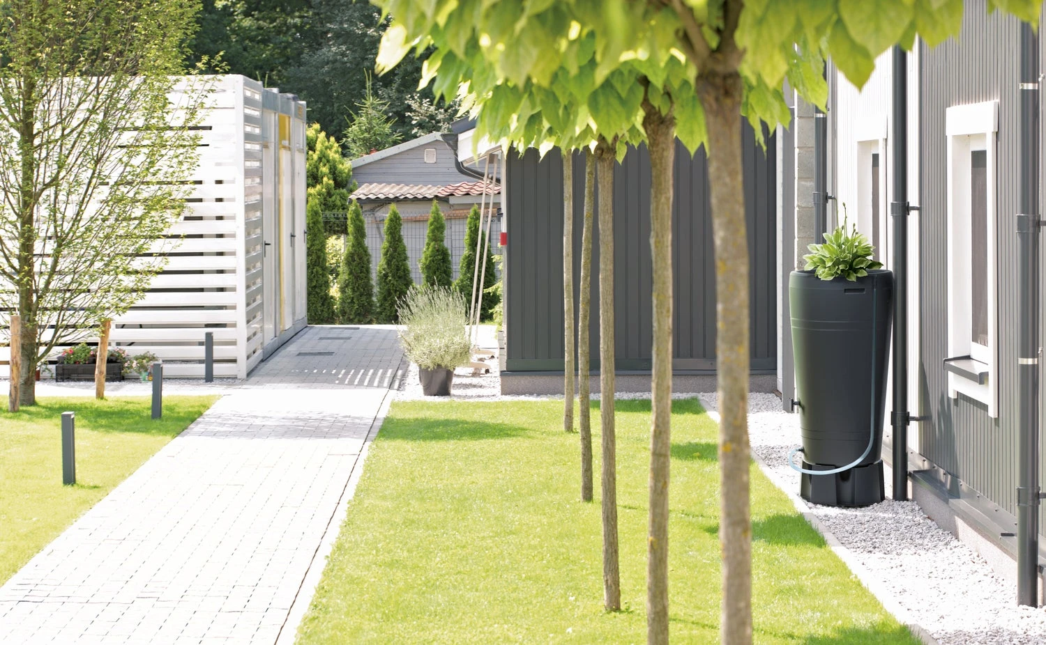 Intratuin Regenton Met Plantenbak Tube Antraciet 230 L 3 Intratuin Regenton Met Plantenbak Tube Antraciet 230 L - Afbeelding 3