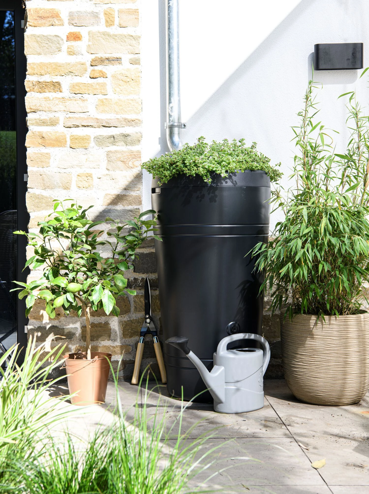 Intratuin Regenton Met Plantenbak Tube Antraciet 230 L 4 Intratuin Regenton Met Plantenbak Tube Antraciet 230 L - Afbeelding 4