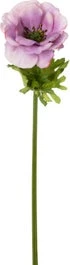 Intratuin Kunstbloem Anemoon Paars 52 Cm
