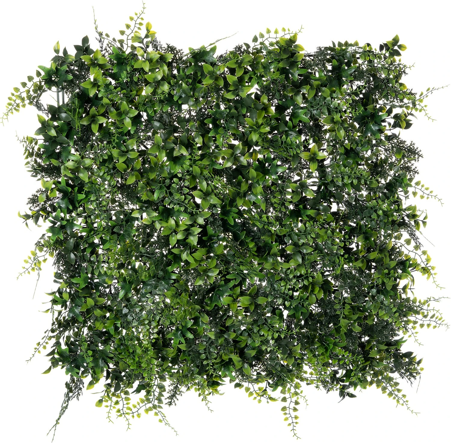 Intratuin Verticale Kunstwand Donker Groen 50 X 50 X 6 Cm 1 Intratuin Verticale Kunstwand Donker Groen 50 X 50 X 6 Cm