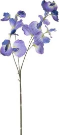 Intratuin Kunstbloem Lathyrus Paars 73 Cm 1 Intratuin Kunstbloem Lathyrus Paars 73 Cm