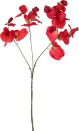 Intratuin Kunstbloem Lathyrus Rood 73 Cm 1 Intratuin Kunstbloem Lathyrus Rood 73 Cm