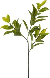 Intratuin Kunsttak Liguster 81 Cm 1 Intratuin Kunsttak Liguster 81 Cm