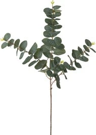 Intratuin Kunsttak Eucalyptus 80 Cm 1 Intratuin Kunsttak Eucalyptus 80 Cm