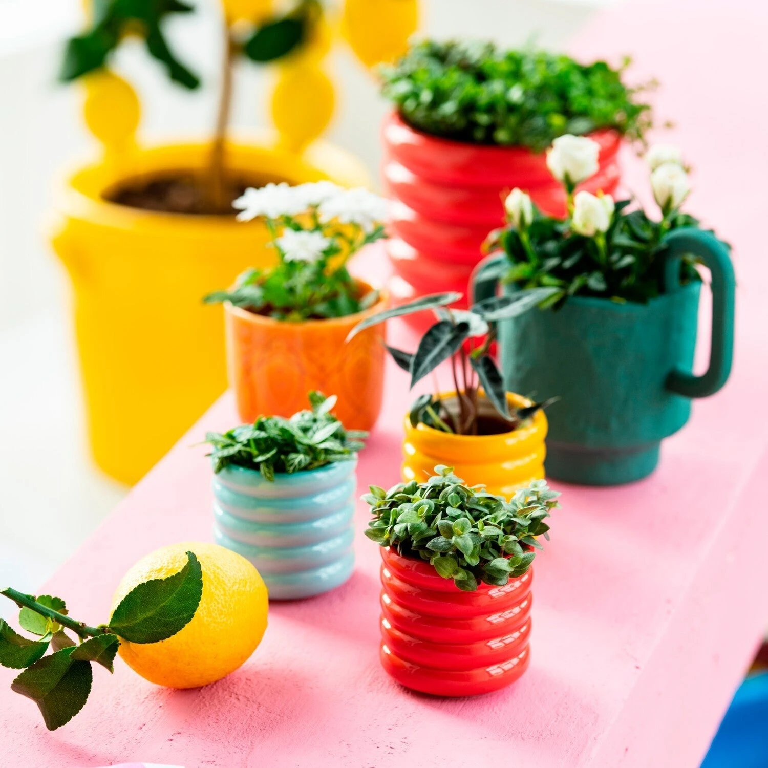 Intratuin Bloempot Ilva Rood D 7 H 7 Cm 2 Intratuin Bloempot Ilva Rood D 7 H 7 Cm - Afbeelding 2