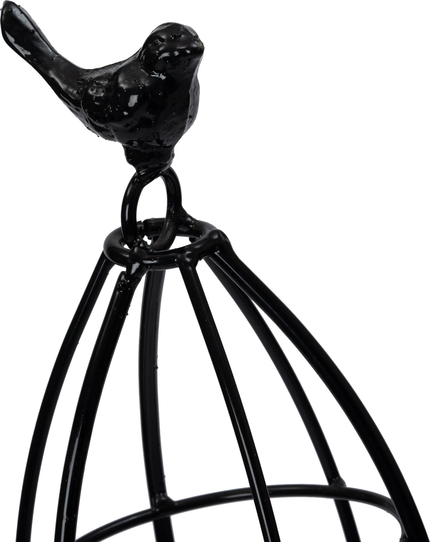 Intratuin Klimrek Vogel Tanya Zwart 152 X 2 X 24 Cm 1 Intratuin Klimrek Vogel Tanya Zwart 152 X 2 X 24 Cm