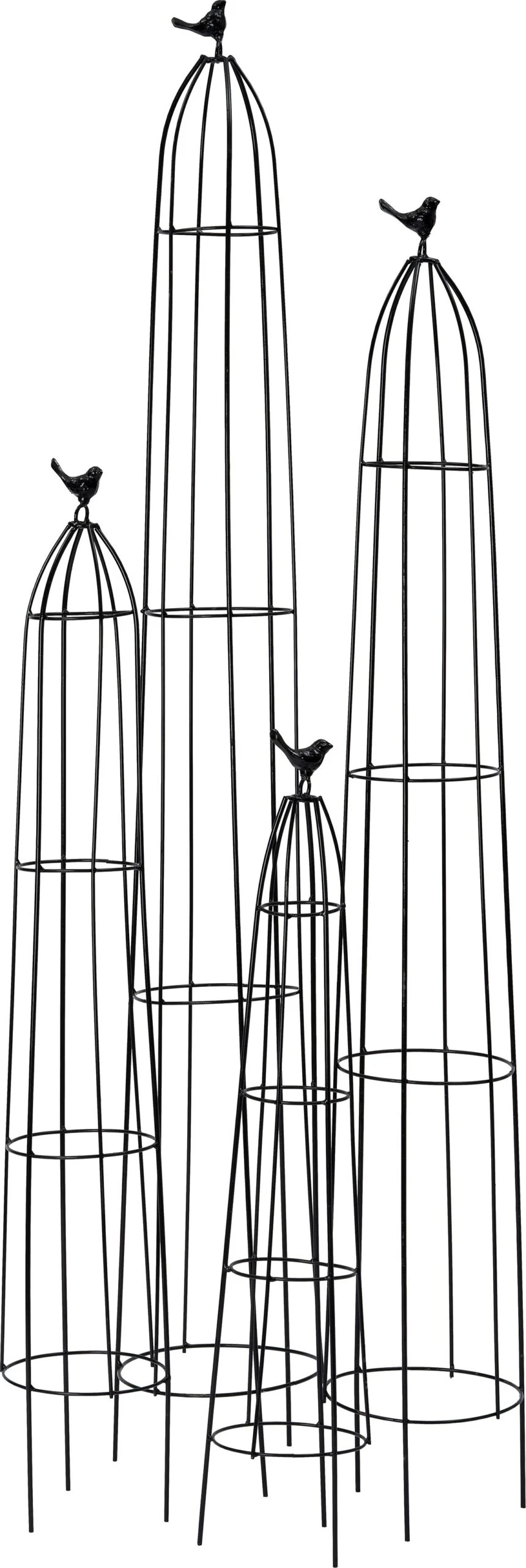 Intratuin Klimrek Vogel Tanya Zwart 152 X 2 X 24 Cm 3 Intratuin Klimrek Vogel Tanya Zwart 152 X 2 X 24 Cm - Afbeelding 3