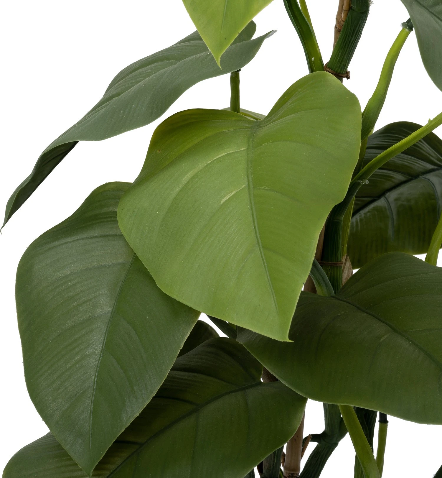 Intratuin Kunstplant Philodendron 71 X 40 X 40 Cm 2 Intratuin Kunstplant Philodendron 71 X 40 X 40 Cm - Afbeelding 2