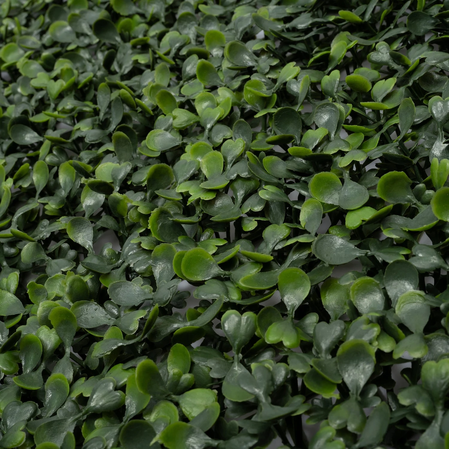 Intratuin Kunstplanten Wandpaneel Groen 100 X 100 X 4 Cm 2 Intratuin Kunstplanten Wandpaneel Groen 100 X 100 X 4 Cm - Afbeelding 2