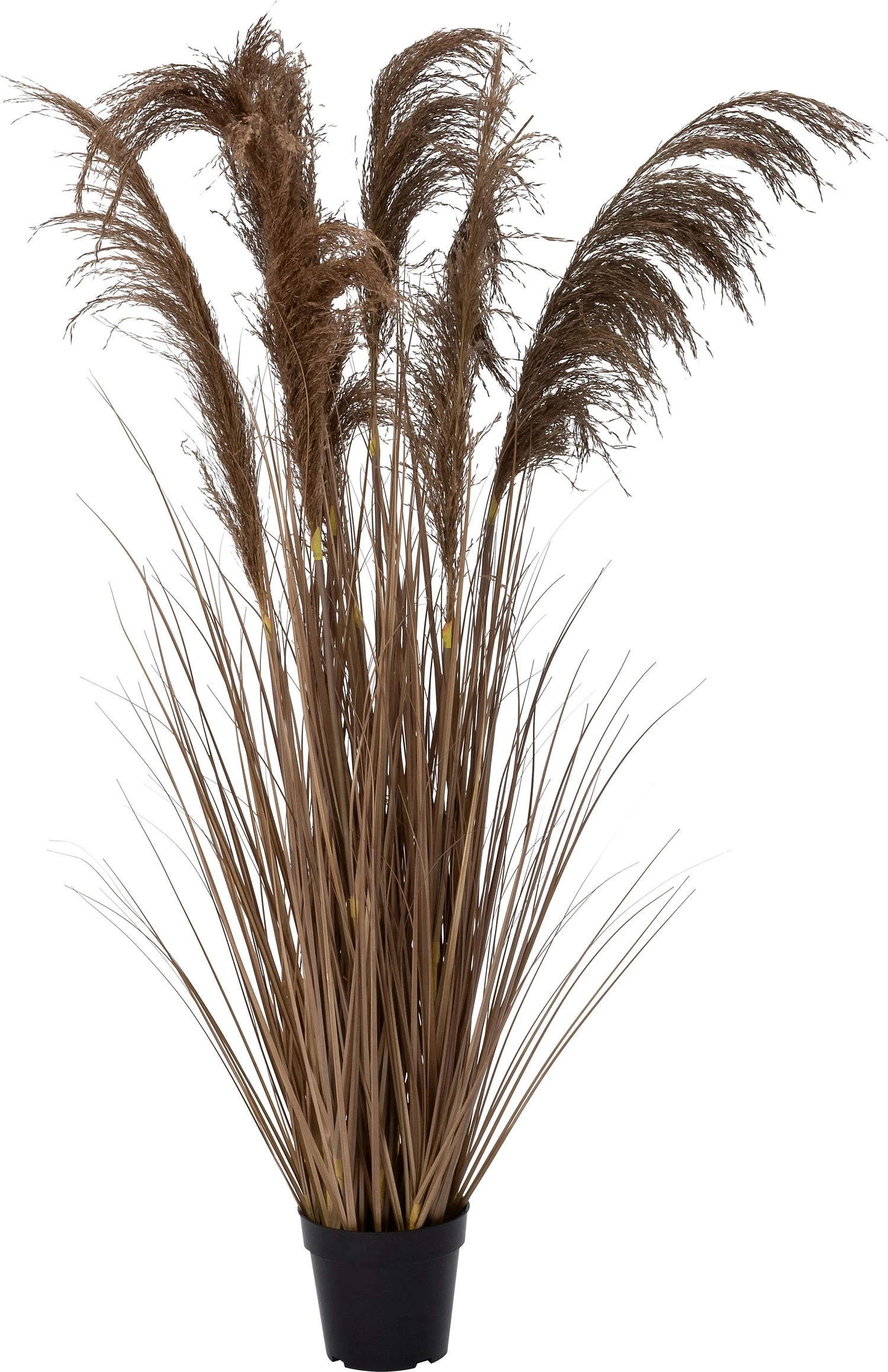 Intratuin Kunstplant Siergras Bruin 40 X 40 X 120 Cm 1 Intratuin Kunstplant Siergras Bruin 40 X 40 X 120 Cm