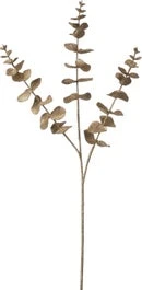 Intratuin Kunsttak Eucalyptus Goud 75 Cm 1 Intratuin Kunsttak Eucalyptus Goud 75 Cm