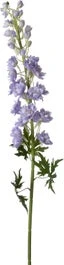 Intratuin Kunstbloem Ridderspoor Paars 138 Cm 1 Intratuin Kunstbloem Ridderspoor Paars 138 Cm