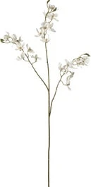 Intratuin Kunstbloem Clematis Crème 72 Cm 1 Intratuin Kunstbloem Clematis Crème 72 Cm