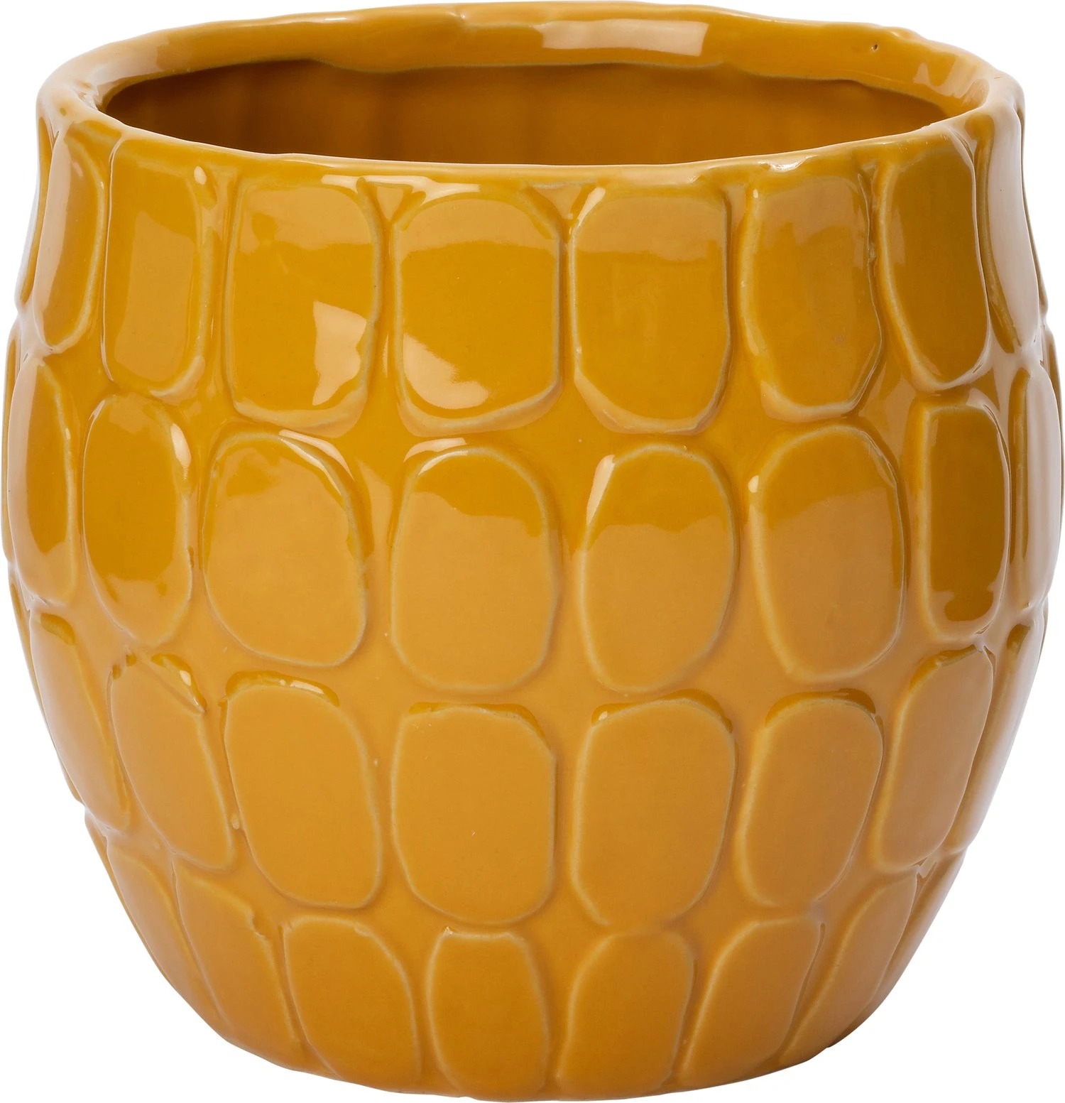 Intratuin Bloempot Nere Geel D 15,5 H 14 Cm 1 Intratuin Bloempot Nere Geel D 15,5 H 14 Cm