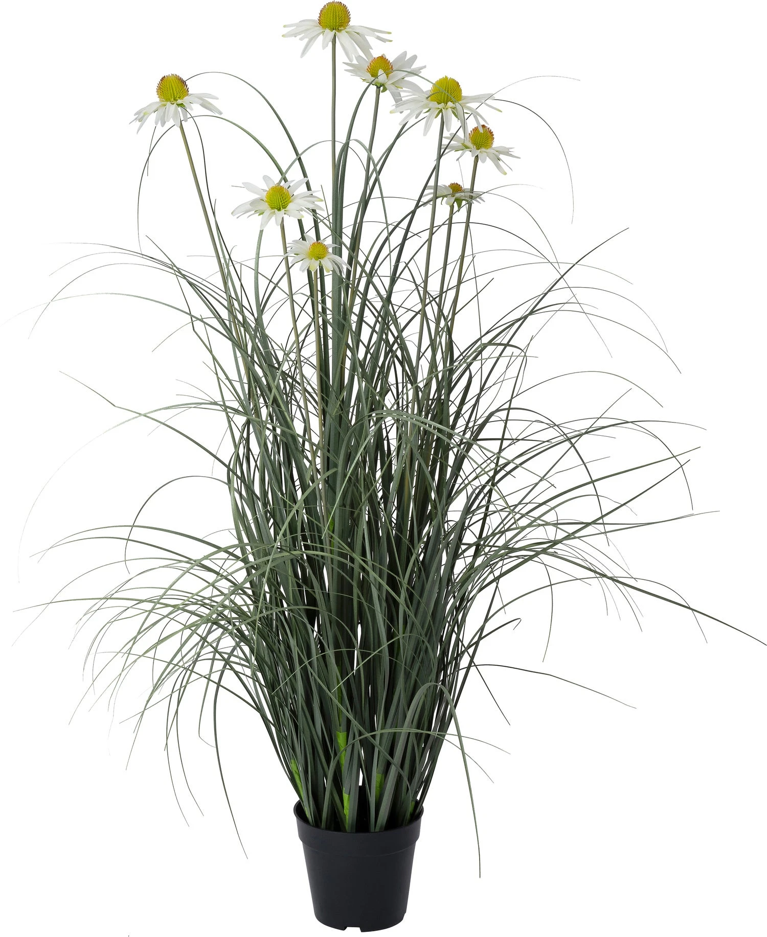 Intratuin Kunstplant Zonnehoed Wit 55 X 55 X 90 Cm 1 Intratuin Kunstplant Zonnehoed Wit 55 X 55 X 90 Cm