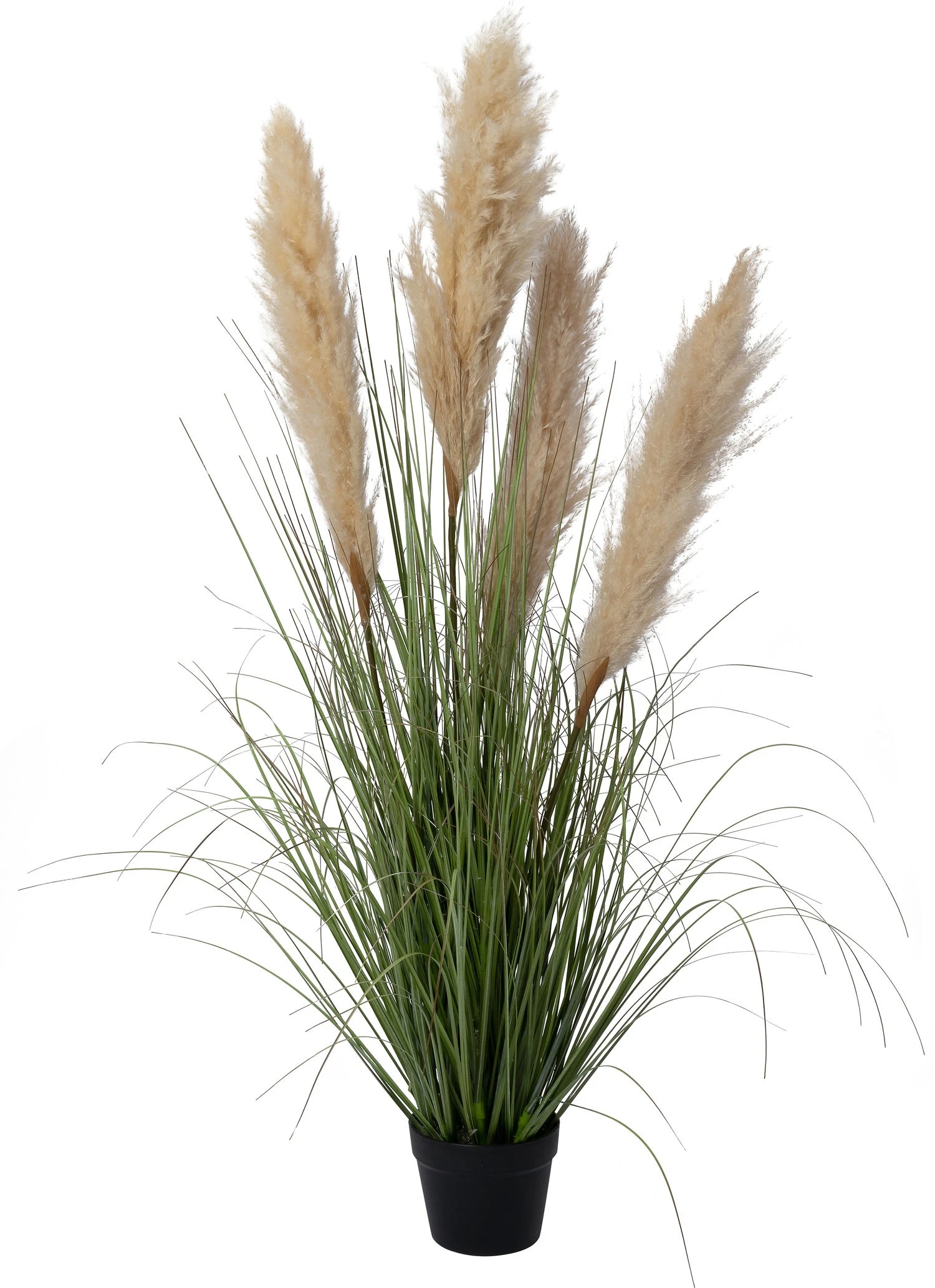 Intratuin Kunstplant Riet Crème 65 X 65 X 123 Cm 1 Intratuin Kunstplant Riet Crème 65 X 65 X 123 Cm