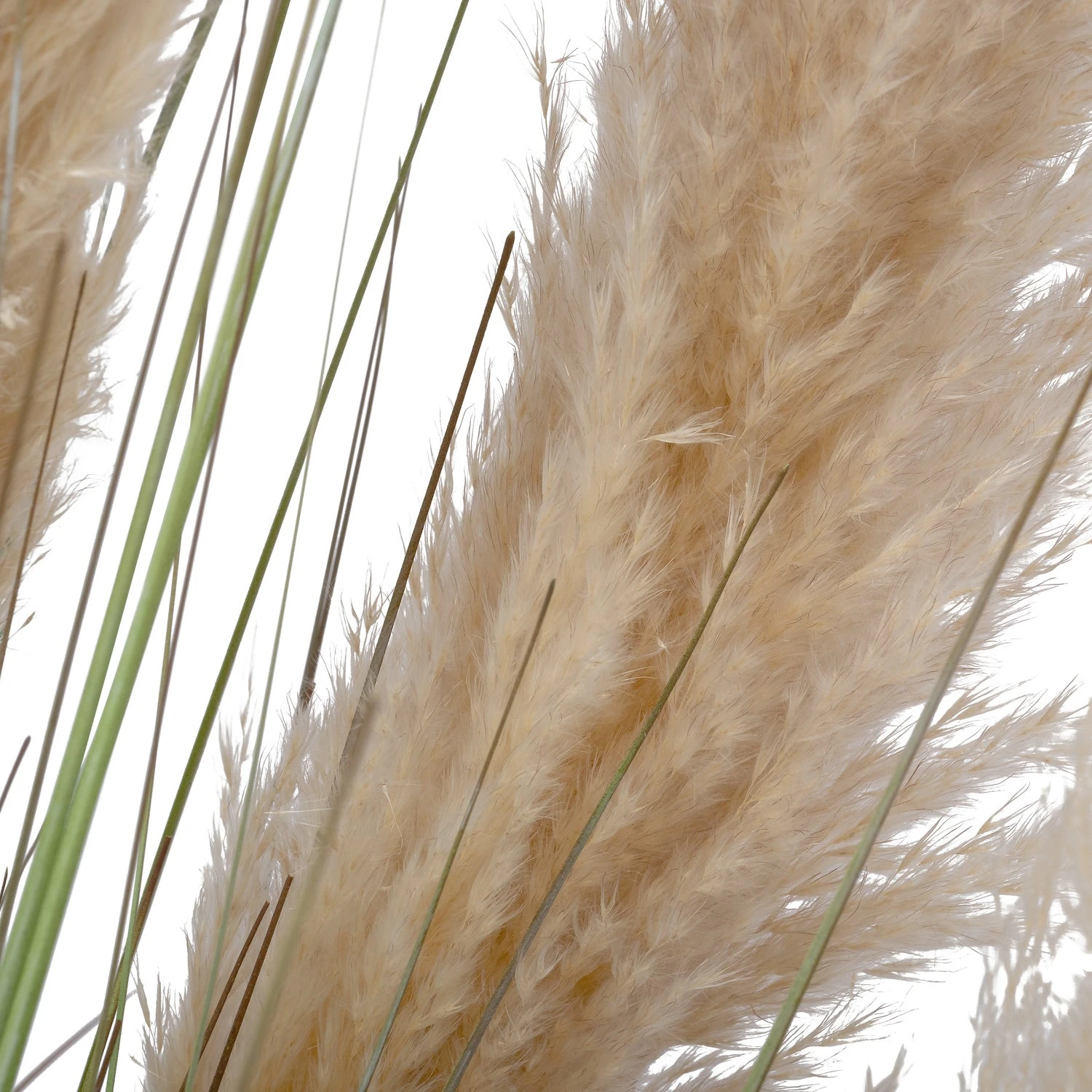 Intratuin Kunstplant Riet Crème 65 X 65 X 123 Cm 2 Intratuin Kunstplant Riet Crème 65 X 65 X 123 Cm - Afbeelding 2