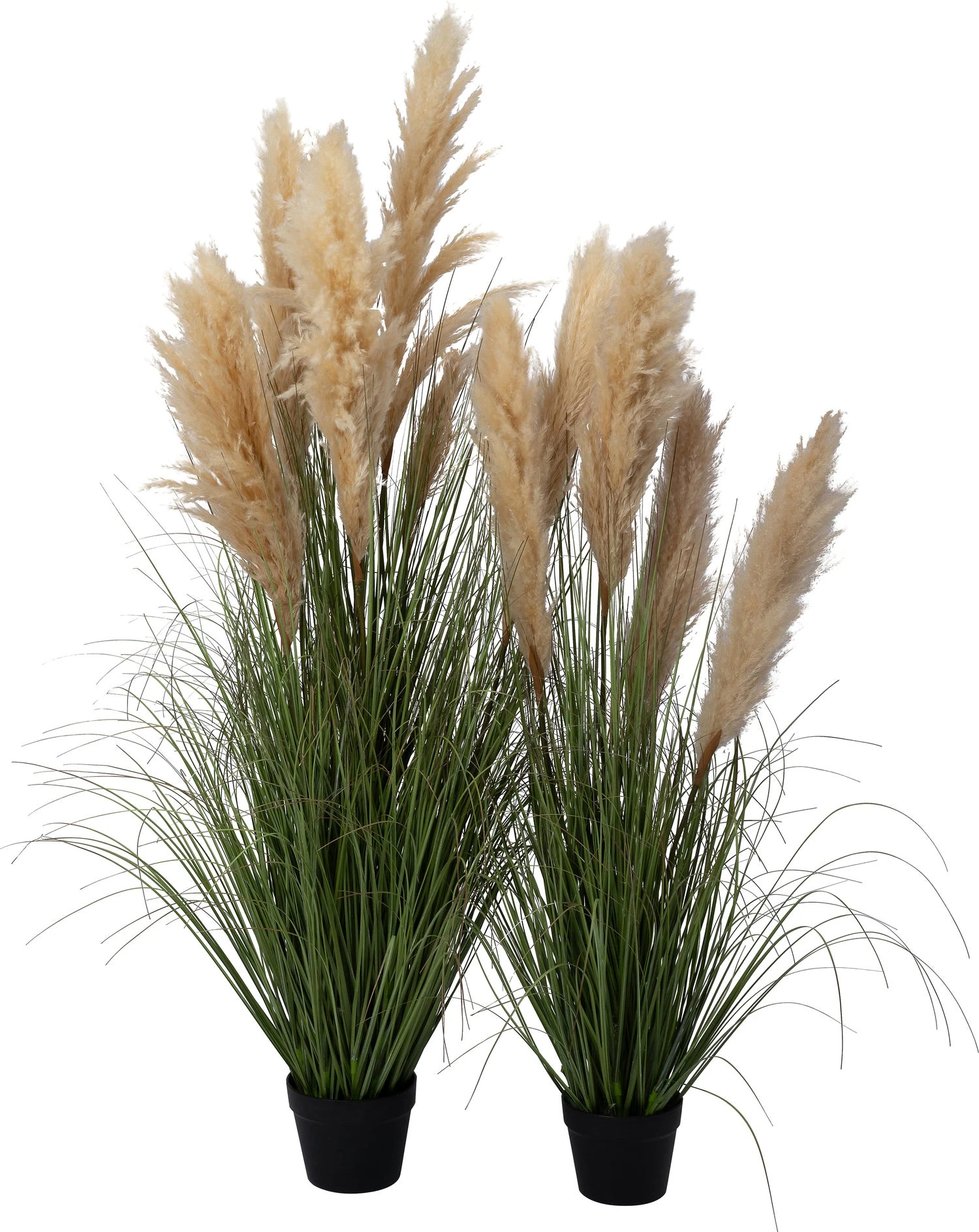 Intratuin Kunstplant Riet Crème 65 X 65 X 123 Cm 3 Intratuin Kunstplant Riet Crème 65 X 65 X 123 Cm - Afbeelding 3