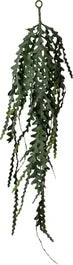 Intratuin Kunsthangplant Zaagcactus Groen 4 X 28 X 91 Cm 1 Intratuin Kunsthangplant Zaagcactus Groen 4 X 28 X 91 Cm